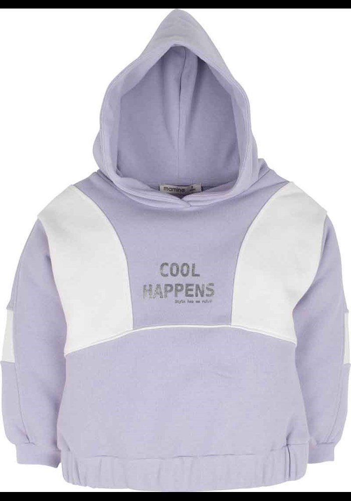 Kapüsonlu Sweatshirt 14858