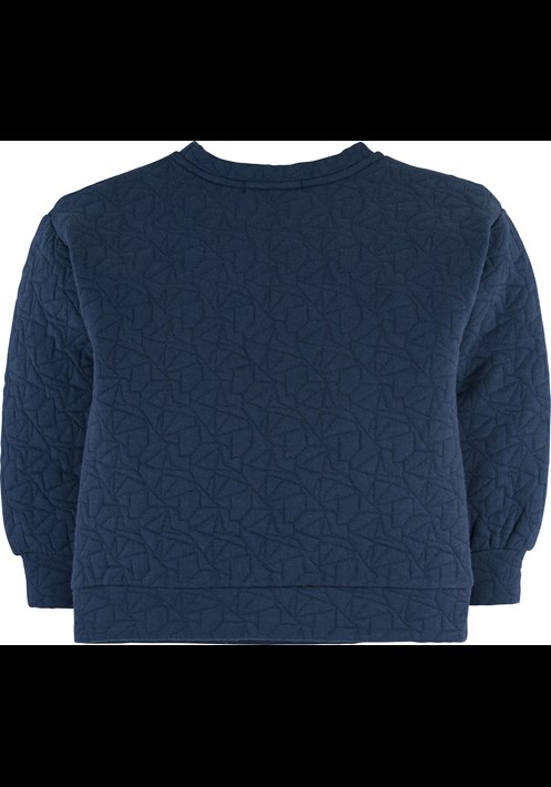 Sweatshirt 15963 2