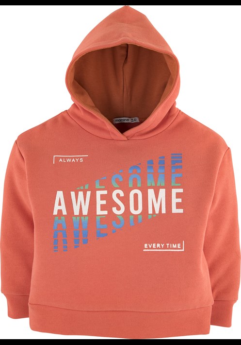 Kapüsonlu Sweatshirt 15804 1