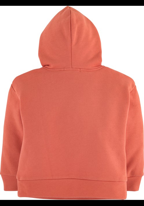 Kapüsonlu Sweatshirt 15804 2