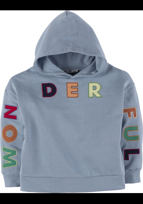 Kapüsonlu Sweatshirt 19086 1